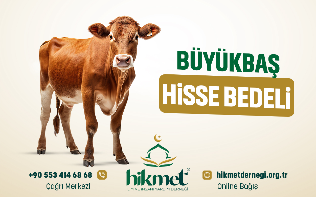 Büyükbaş Hisse Bedeli